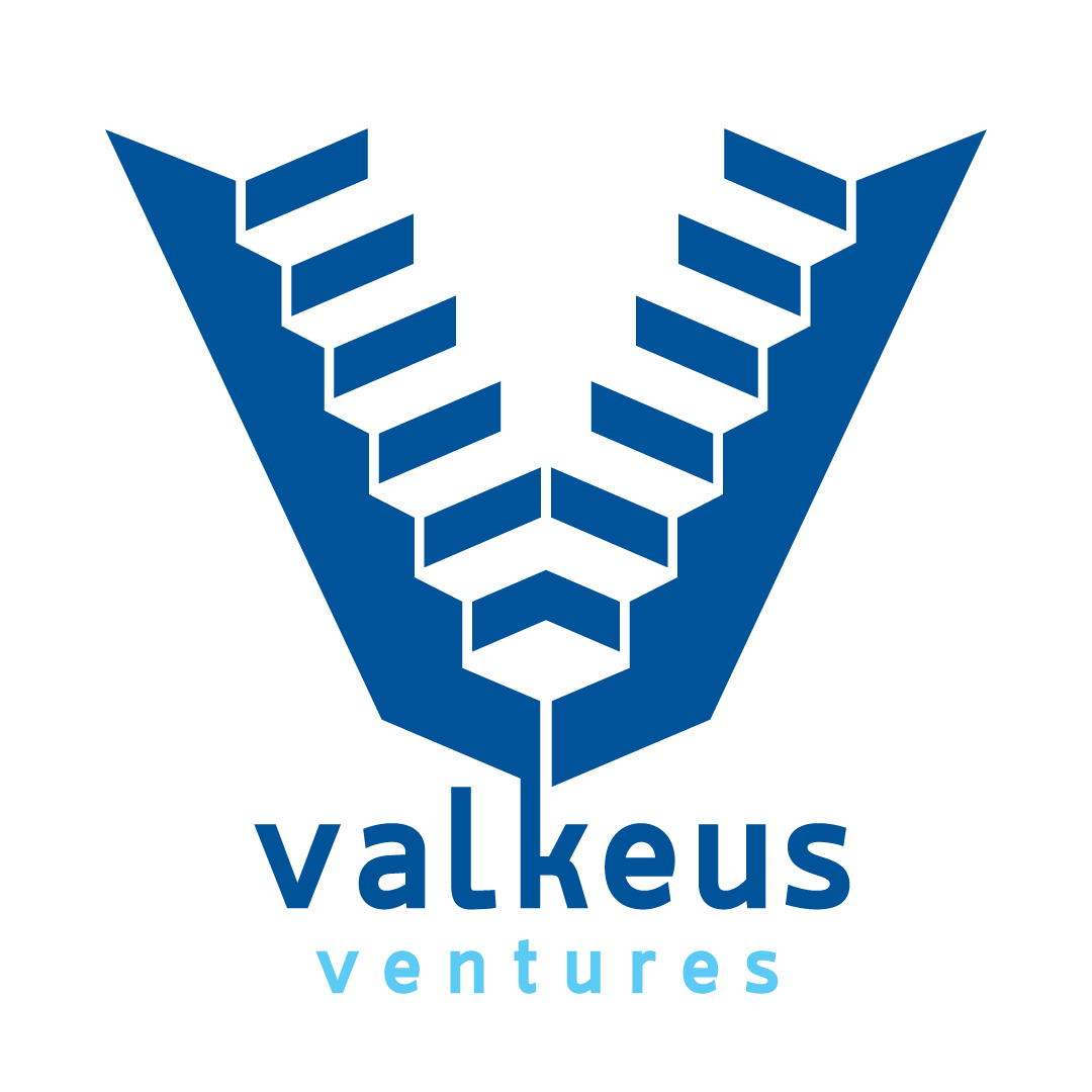 Valkeus Ventures